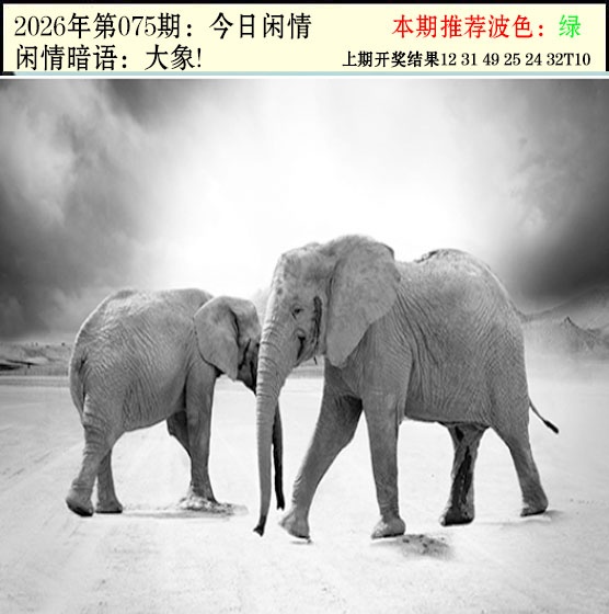 075期今日闲情2[图]