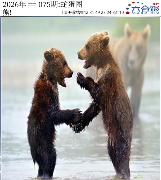 075期正版蛇蛋图[图]